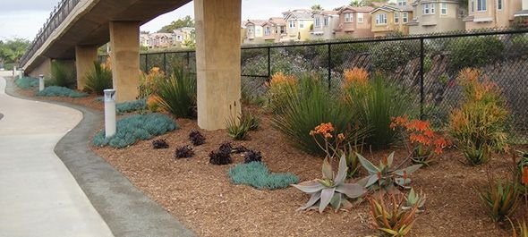 clean landscape